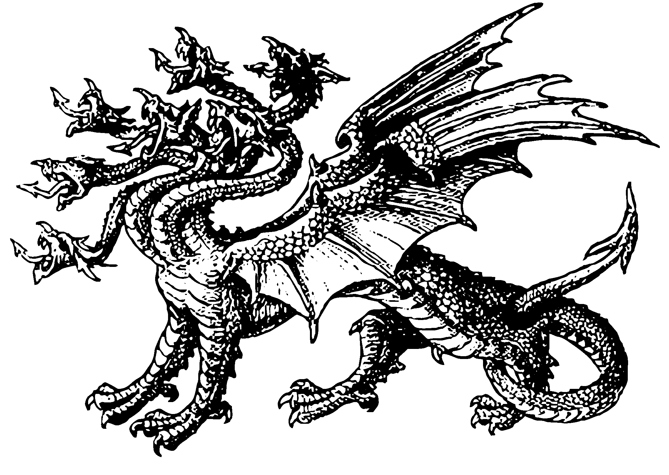Hidra